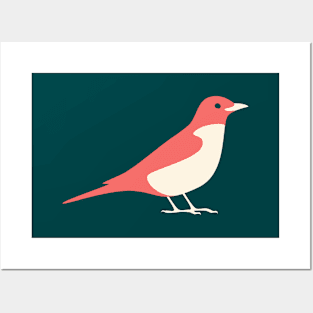 American Robin (Red) Posters and Art